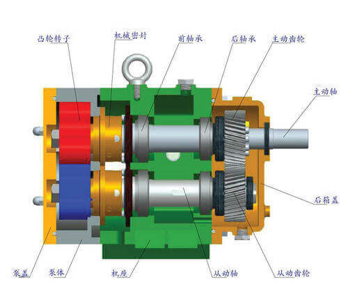 凸輪轉子泵產品特點和工作原理