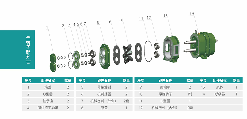 GS/DR系列凸輪轉(zhuǎn)子泵轉(zhuǎn)子部分結構圖