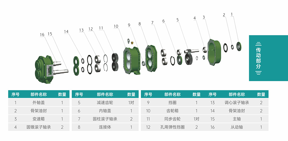 GS/DR系列凸輪轉(zhuǎn)子泵傳動部分結構圖